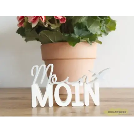 Moin moin
